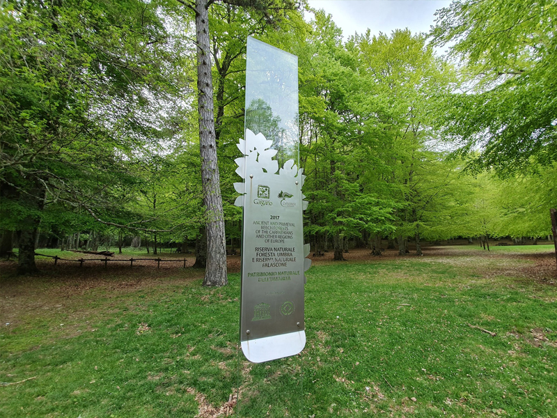La Foresta Umbra